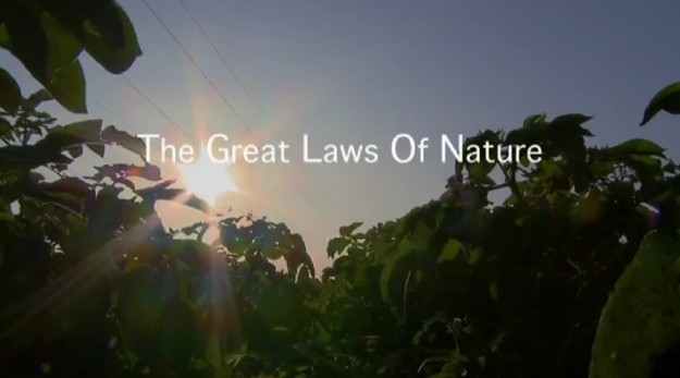 THE LAWS OF NATURE